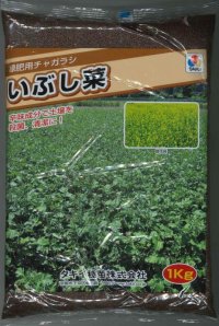 [緑肥]　チャガラシ　いぶし菜 1kg　タキイ種苗（株）