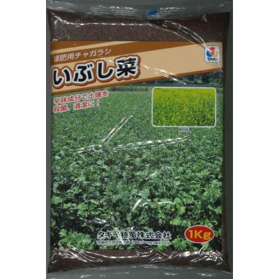 画像1: [緑肥]　チャガラシ　いぶし菜 1kg　タキイ種苗（株）