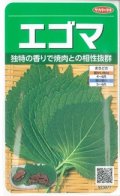 送料無料　[葉物]　エゴマ　約800粒　(株)サカタのタネ　実咲250（002973）