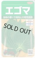 送料無料　[葉物]　エゴマ　約800粒　(株)サカタのタネ　実咲250（002973）