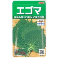 [葉物]　エゴマ　約800粒　サカタのタネ（株）　実咲200