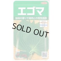 送料無料　[葉物]　エゴマ　約800粒　(株)サカタのタネ　実咲250（002973）