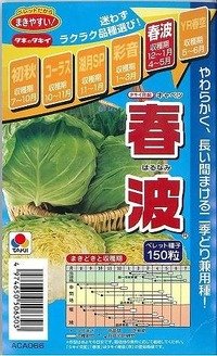 [キャベツ]　春波　150粒 ペレット種子　タキイ種苗（株）