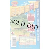 送料無料 [キャベツ] 春波 150粒 ペレット種子 タキイ種苗(株)