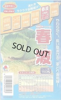 送料無料 [キャベツ] 春波 150粒 ペレット種子 タキイ種苗(株)