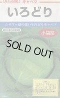 送料無料　[キャベツ]　いろどり　0.9ml　カネコ交配