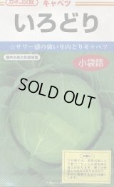 送料無料　[キャベツ]　いろどり　0.9ml　カネコ種苗（株）