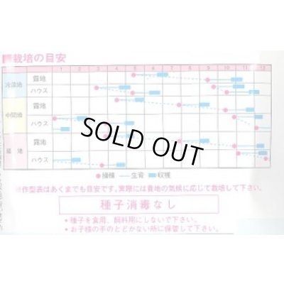 画像2: 送料無料　二コル　ルッコラ　1L　渡辺農事（株）