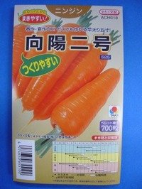 [人参]　向陽二号　ペレット種子　700粒　タキイ種苗（株）