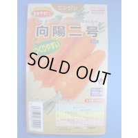 送料無料 [人参] 向陽二号 ペレット種子 700粒 タキイ種苗(株)