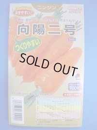 送料無料 [人参] 向陽二号 ペレット種子 700粒 タキイ種苗(株)