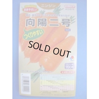 画像1: 送料無料 [人参] 向陽二号 ペレット種子 700粒 タキイ種苗(株)