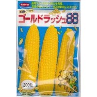 [とうもろこし]　ゴールドラッシュ88　200粒　サカタ交配　