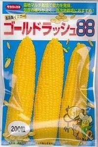 [とうもろこし]　ゴールドラッシュ88　200粒　サカタ交配　