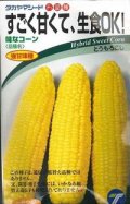 送料無料　[とうもろこし]　味なコーン　200粒　(株)タカヤマシード