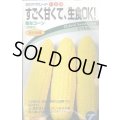 送料無料　[とうもろこし]　味なコーン　200粒　(株)タカヤマシード