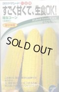 送料無料　[とうもろこし]　味なコーン　200粒　(株)タカヤマシード