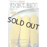送料無料　[とうもろこし]　味なコーン　200粒　(株)タカヤマシード