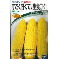 [とうもろこし]　味なコーン 　　200粒　（株）タカヤマシード