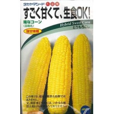 画像1: [とうもろこし]　味なコーン 　　200粒　（株）タカヤマシード