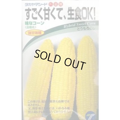 画像1: 送料無料　[とうもろこし]　味なコーン　200粒　(株)タカヤマシード