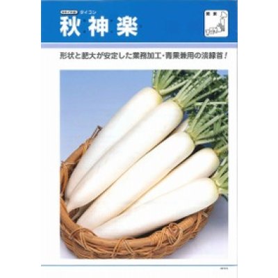 画像2: [大根]　秋神楽　ペレット3L5000粒　タキイ種苗(株)