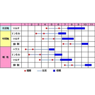 画像2: [とうもろこし]　あまいんです　2000粒　渡辺農事（株）