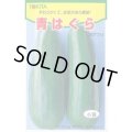 送料無料　[瓜類]　青はぐら　20ml(およそ700粒)　トキタ種苗(株)
