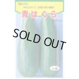 送料無料　[瓜類]　青はぐら　20ml(およそ700粒)　トキタ種苗(株)