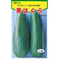 [瓜類]　青はぐら　20ml（およそ700粒）　トキタ種苗（株）