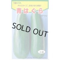送料無料　[瓜類]　青はぐら　20ml(およそ700粒)　トキタ種苗(株)