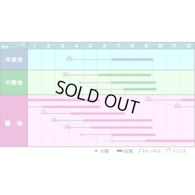 画像2: 送料無料　[オクラ]　ブルースカイZ　1L　ヴィルモランみかど（株）