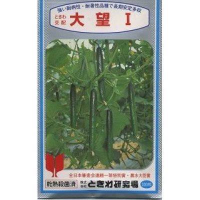 画像1: [キュウリ]　送料無料！大望１　350粒　（株）ときわ研究場