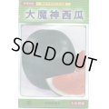 送料無料　[スイカ]　大玉スイカ　大魔神西瓜　7粒　大和農園