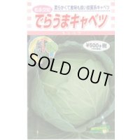 [キャベツ] でらうま 1.5ml 松永種苗(株)