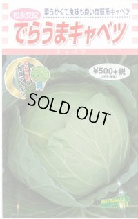 [キャベツ] でらうま 1.5ml 松永種苗(株)