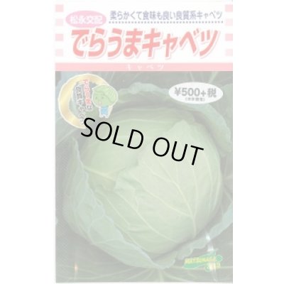 画像1: [キャベツ] でらうま 1.5ml 松永種苗(株)