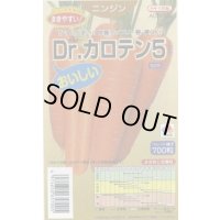 送料無料 [人参] Dr.カロテン5 ペレット種子 700粒 タキイ種苗(株)
