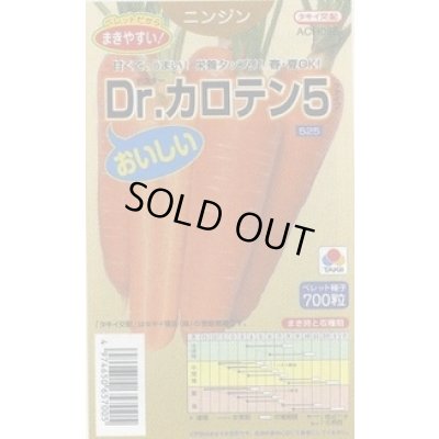 画像1: 送料無料 [人参] Dr.カロテン5 ペレット種子 700粒 タキイ種苗(株)