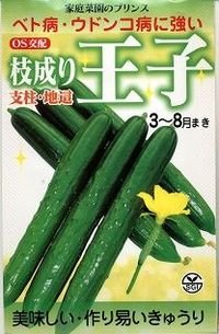 [キュウリ]　枝成り王子　400粒　埼玉原種育成会