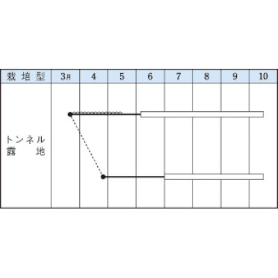 画像2: [オクラ]　エメラルド　115粒　タキイ種苗（株）　GF　