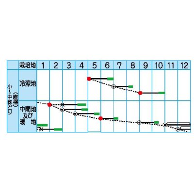 画像3: [葉物]　水菜　京だより　2dl　（株）タカヤマシード