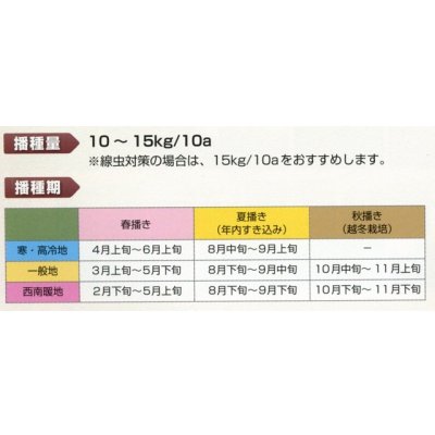 画像2: [緑肥]　エンバク　ヘイオーツ　1kg　雪印種苗(株)
