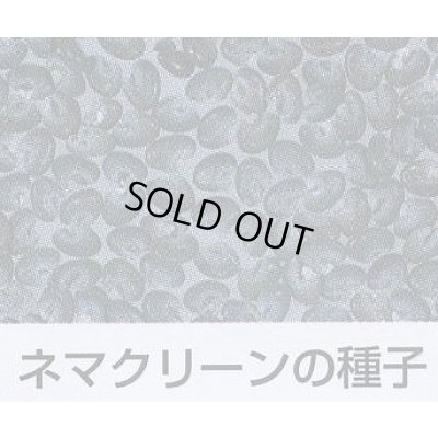画像2: [緑肥]　ネマクリーン(マメ科)1kg　カネコ種苗(株)