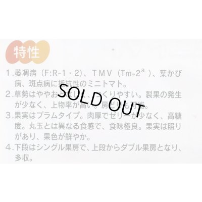 画像4: 送料無料　[トマト/ミニトマト]　アイコ　17粒　(株)サカタのタネ実咲550（002821）