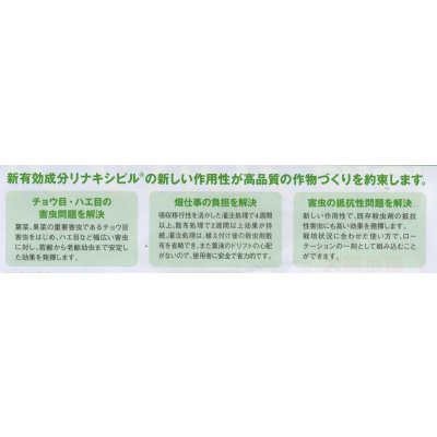 画像3: 農薬　殺虫剤　プレバソンフロアブル　250ml　日産化学工業株式会社