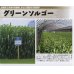 画像3: [緑肥]　グリーンソルゴー　1ｋｇ　雪印種苗（株） (3)