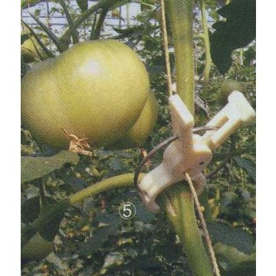 画像2: トマト用　つりっ子ｊｒ.　100個入