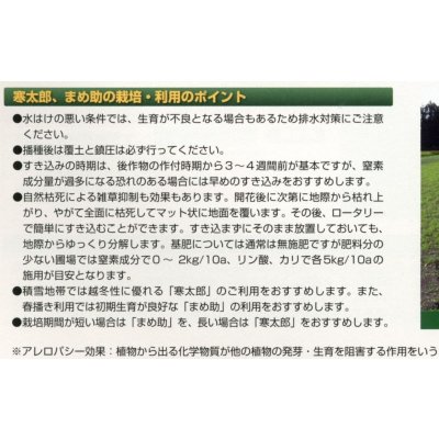 画像4: [緑肥]　ヘアリーベッチ　まめ助　1kg　雪印種苗(株)