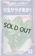 送料無料　[ほうれんそう]　早生サラダあかり　1dl　タキイ種苗(株)